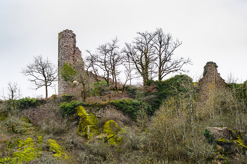Château de Camboulas